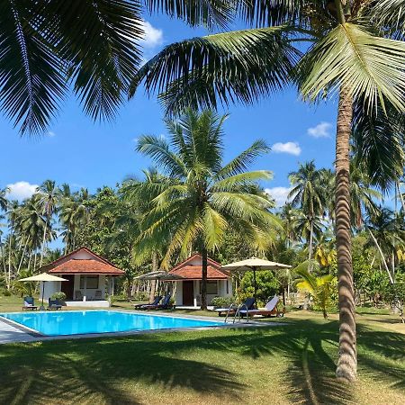 Ambarella Lodge - Katunayake Hunumulla Exterior foto