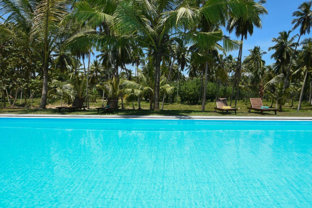 Ambarella Lodge - Katunayake Hunumulla Exterior foto
